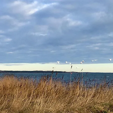 펜션 Eilandr Am Ufer 8 & Am Ufer 14 Vaschvitz